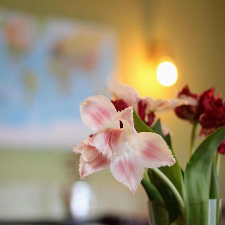 Bed And Breakfast De Grote Byvanck Westervoort Εξωτερικό φωτογραφία