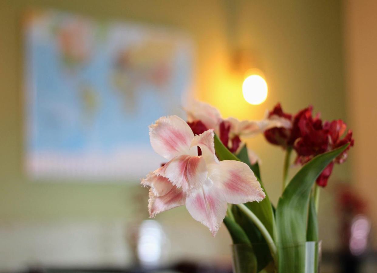 Bed And Breakfast De Grote Byvanck Westervoort Εξωτερικό φωτογραφία